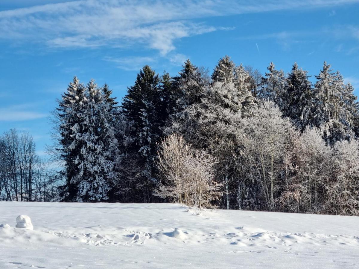 Ferienhaus Mauth Exteriör bild